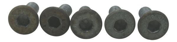 Kit Parafusos Disco Freio Dianteiro Bmw G310 Gs 20-24 Orig