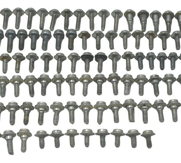 Kit Parafusos Carenagem Bmw G310 Gs 20-24 Original