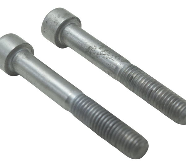 Par Parafuso Pinça Freio Dianteira Bmw G310 Gs 20-24 Orig