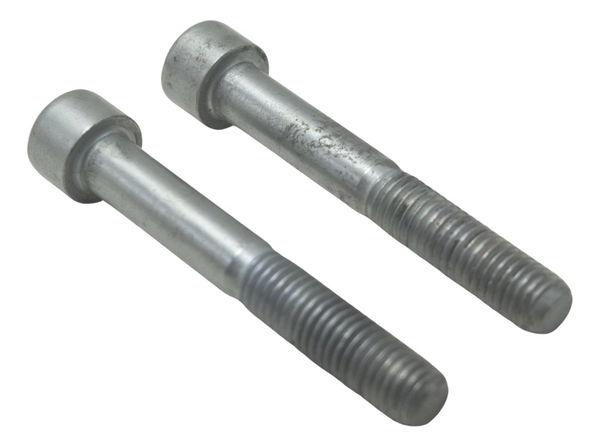 Par Parafuso Pinça Freio Dianteira Bmw G310 Gs 20-24 Orig