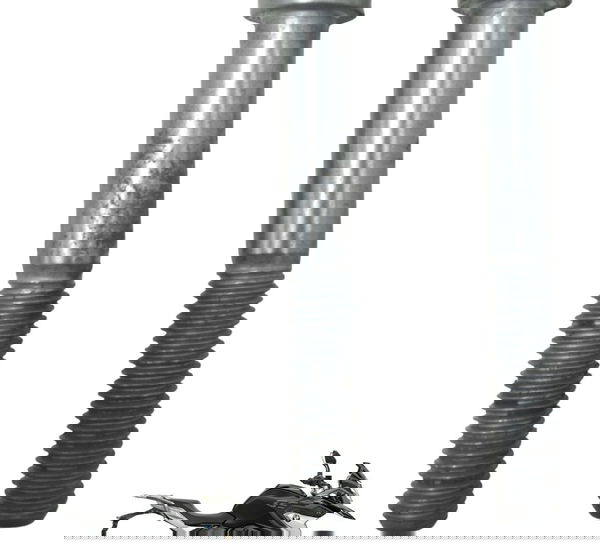 Par Parafuso Pinça Freio Dianteira Bmw G310 Gs 20-24 Orig