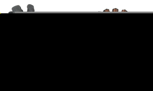 Estator Bmw G310 Gs 20-24 Original