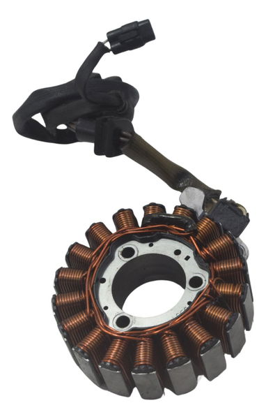 Estator Bmw G310 Gs 20-24 Original