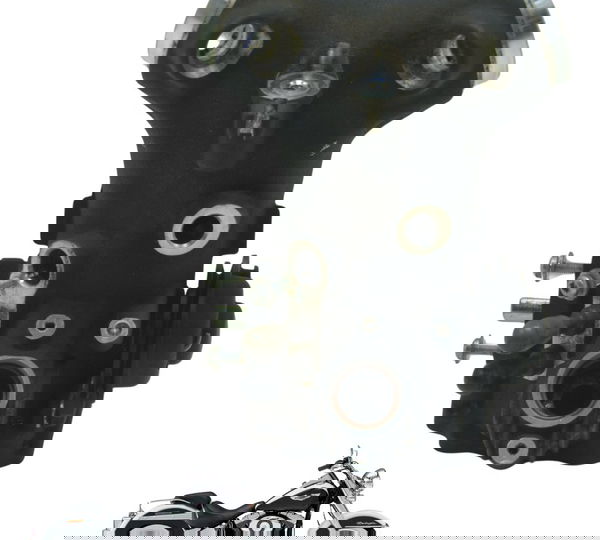 Corpo Injeção Harley Softail Deluxe Flstn 12-15 Original