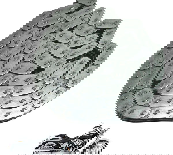 Corrente Primaria Harley Softail Deluxe Flstn 12-15 Original