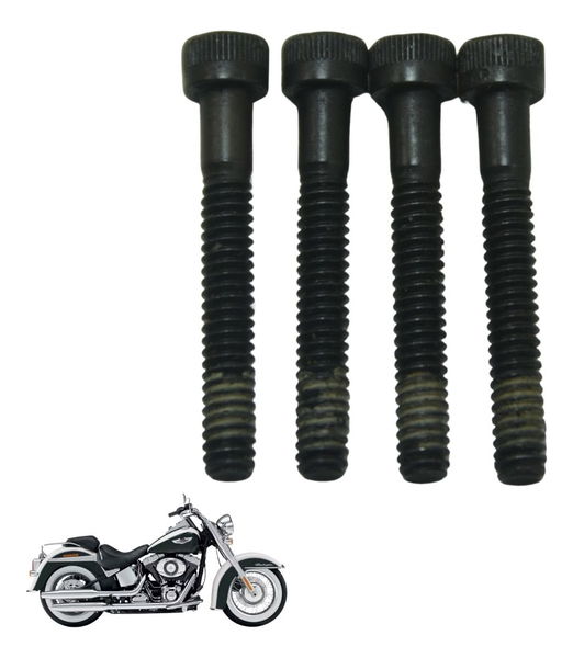 Jogo Parafuso Estator Harley Softail Deluxe Flstn 12-15 Orig