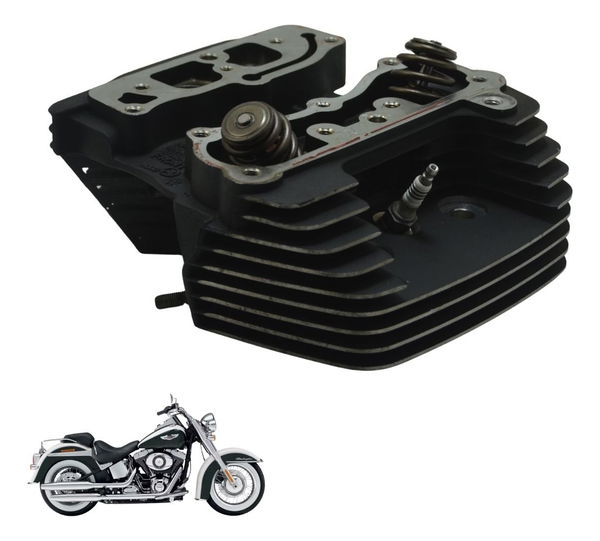 Cabeçote Dianteiro Harley Softail Deluxe Flstn 12-15 Origina