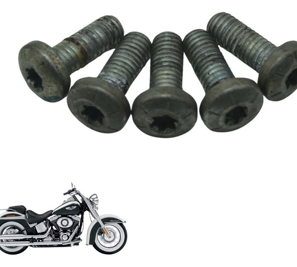 Jogo Parafuso Disco Freio Harley Softail Deluxe Flstn 12-15
