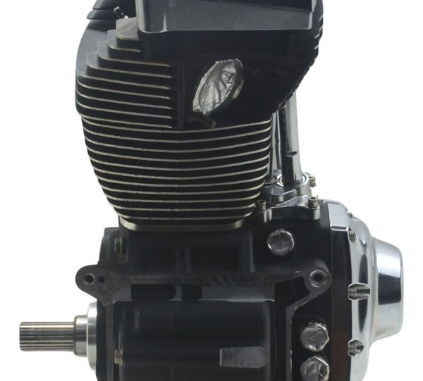 Motor Complet Nfe Baixa Base Troca Harley Softail Deluxe Ori