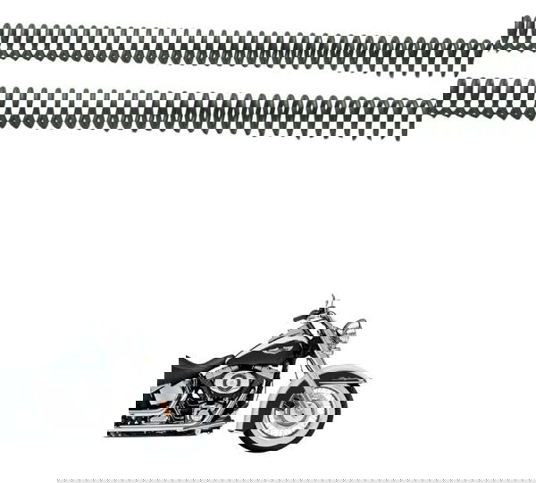 Par Mola Bengala Harley Softail Deluxe Flstn 12-15 Original