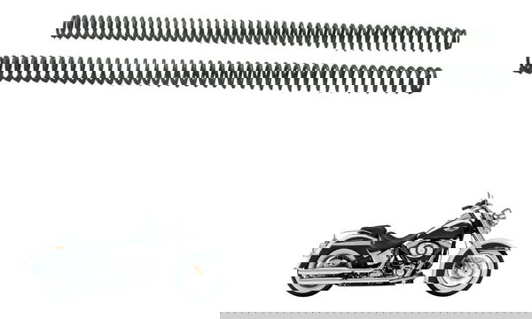 Par Mola Bengala Harley Softail Deluxe Flstn 12-15 Original