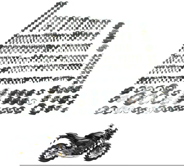 Kit Parafusos Diversos Honda Cb 600f Hornet 08-11 Original