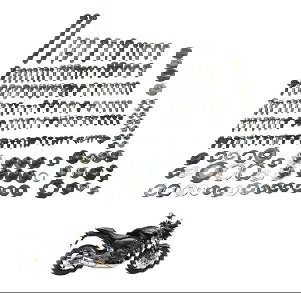 Kit Parafusos Diversos Honda Cb 600f Hornet 08-11 Original