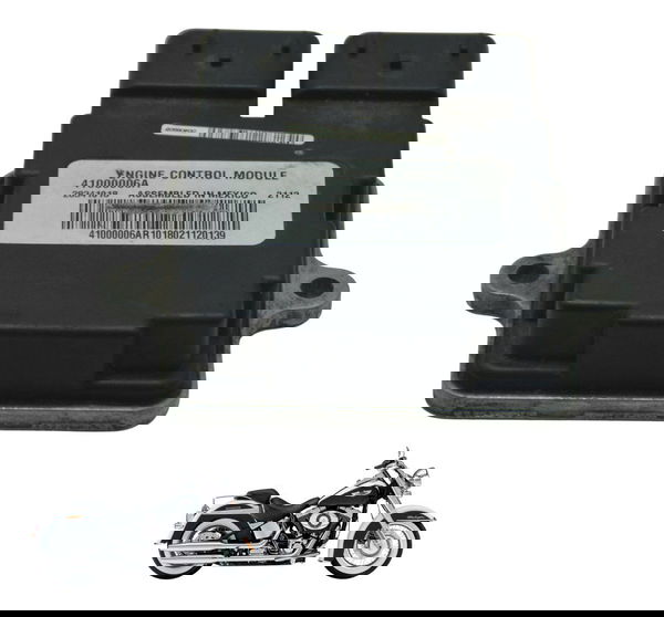 Módulo Ecm Harley Softail Deluxe Flstn 12-15 Original