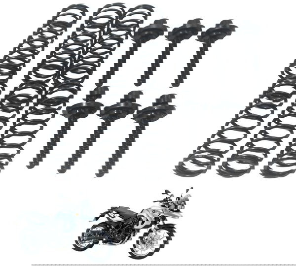 Jogo Parafuso Mola Embreagem Bmw F 650 Gs 09-12 Original