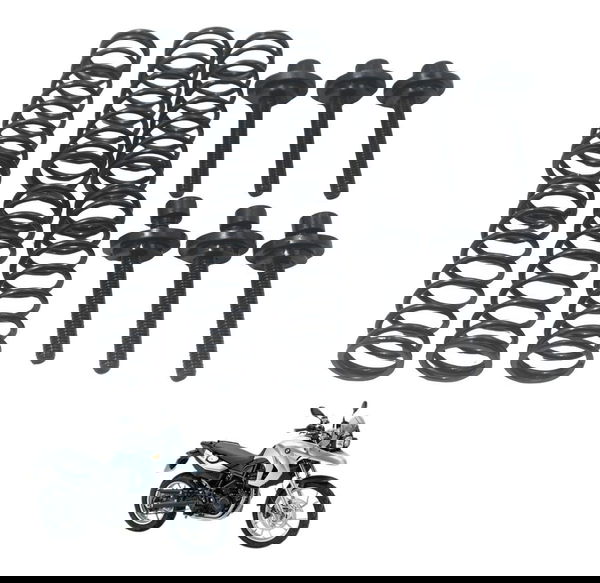 Jogo Parafuso Mola Embreagem Bmw F 650 Gs 09-12 Original