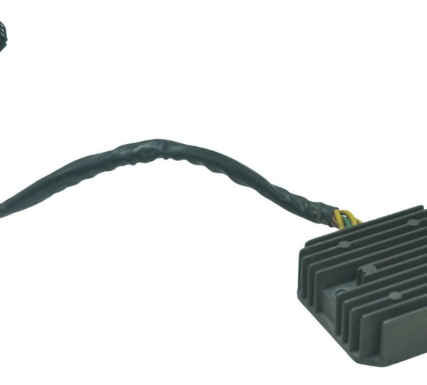 Retificador Carga Bmw F 800 R 10-14 Original