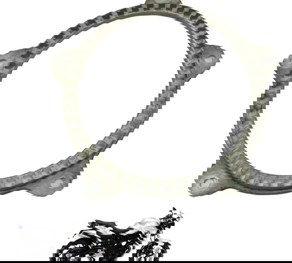 Roda Fônica Dianteira Bmw F 800 R 10-14 Original