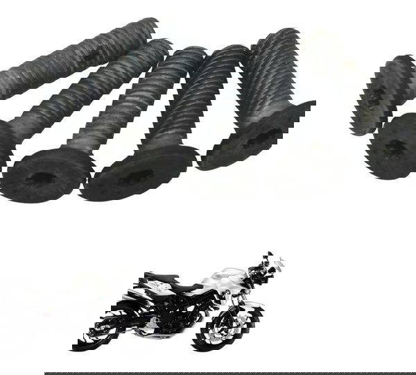 Jogo Parafuso Disco Freio Dianteiro Bmw F 800 R 10-14 Orig