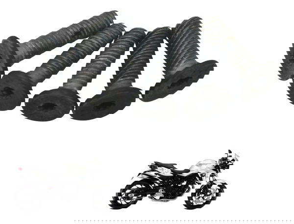 Jogo Parafuso Disco Freio Dianteiro Bmw F 800 R 10-14 Orig