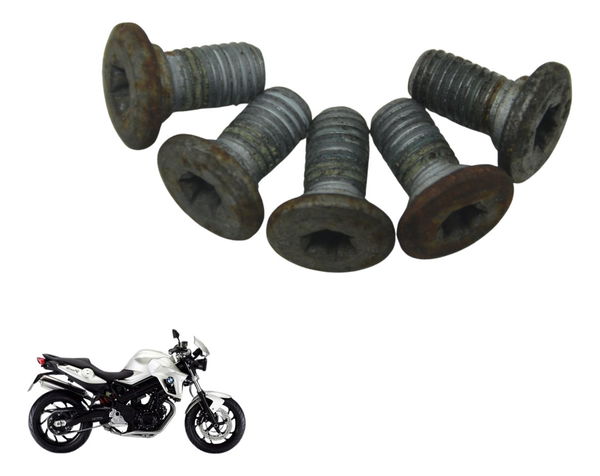 Jogo Parafuso Disco Freio Traseiro Bmw F 800 R 10-14 Orig