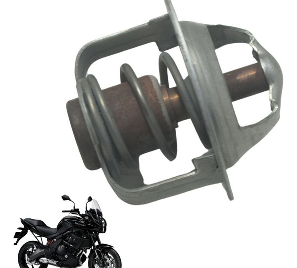 Válvula Termostática Kawasaki Versys 650 10-14 Original