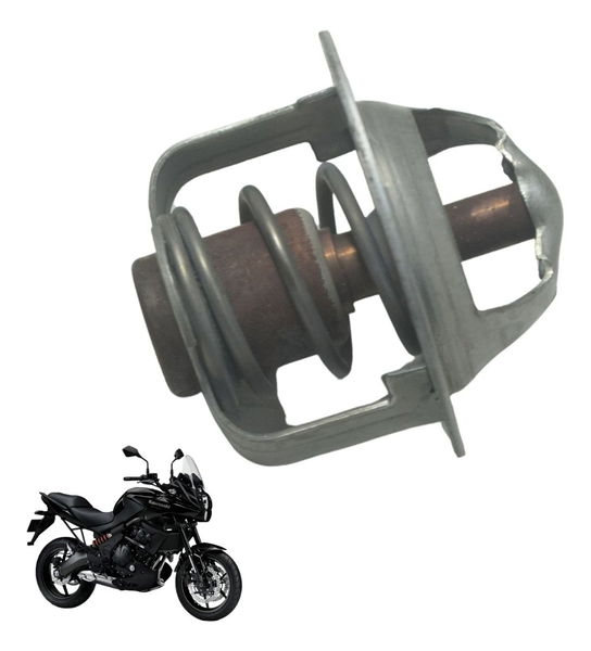 Válvula Termostática Kawasaki Versys 650 10-14 Original
