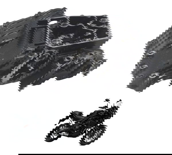 Carcaça Bloco Motor Inferior Kawasaki Versys 650 10-14 Origi