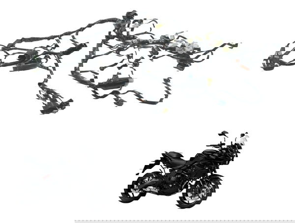 Chicote Principal Kawasaki Versys 650 10-14 Original