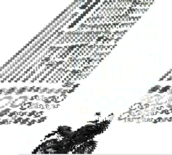 Kit Parafusos Diversos Kawasaki Versys 650 10-14 Original