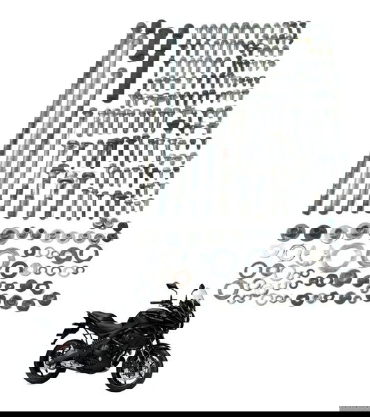 Kit Parafusos Diversos Kawasaki Versys 650 10-14 Original