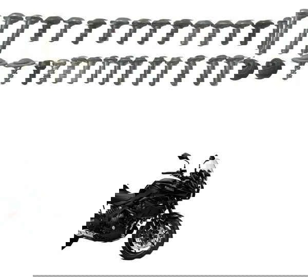 Kit Parafusos Carenagem Kawasaki Versys 650 10-14 Original