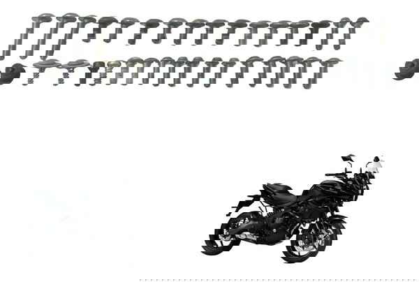 Kit Parafusos Carenagem Kawasaki Versys 650 10-14 Original