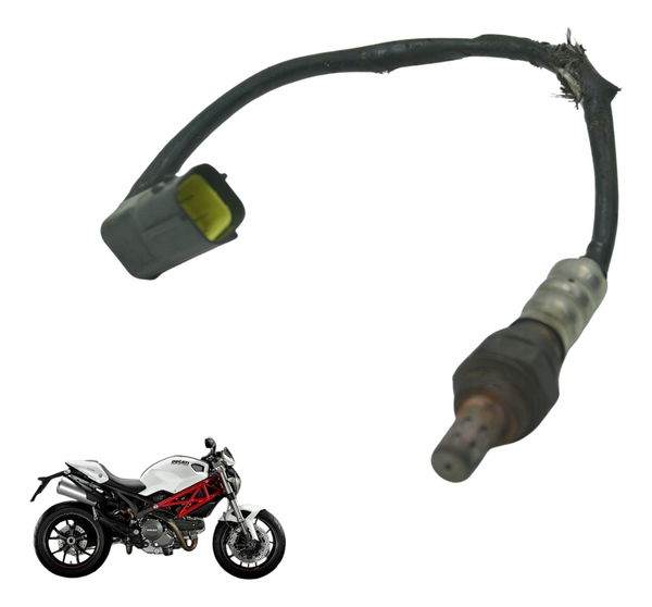 Sonda Lambda Ducati Monster 796 13-15 Original