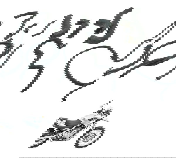 Kit Mangueira Bmw F 650 Gs 03-07 Original