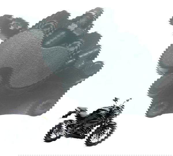 Pinça Freio Traseira Kawasaki Z 300 13-18 Original