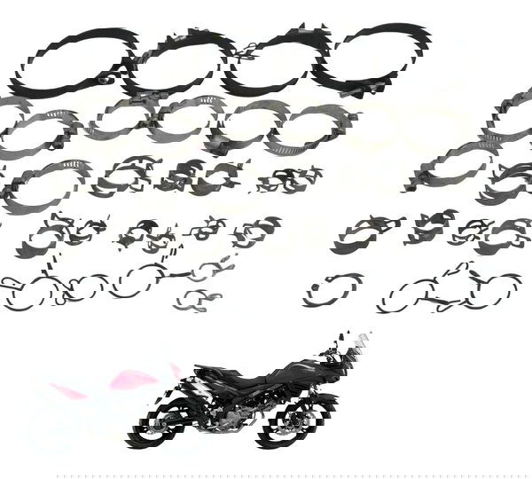 Kit Abraçadeiras Diversas Suzuki Dl 650 V Strom 17-21 Origi