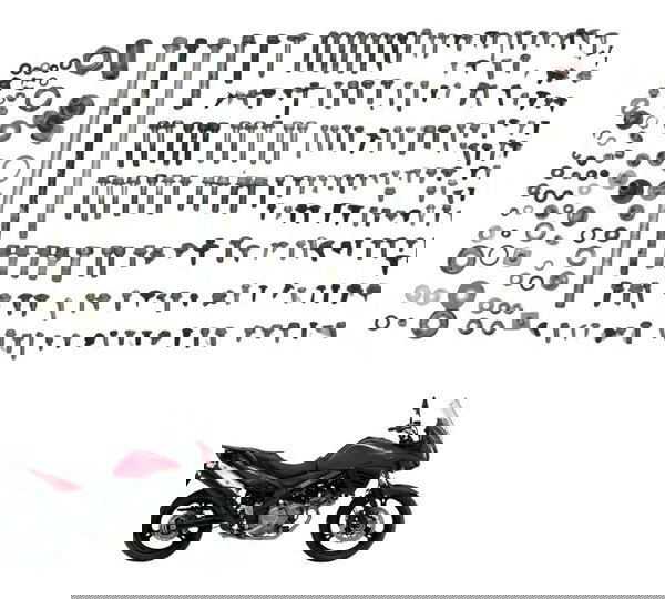 Kit Parafuso Diversos Suzuki Dl 650 V Strom 17-21 Original