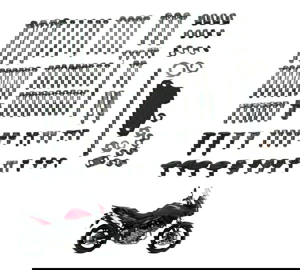 Kit Parafuso Motor Diversos Suzuki Dl 650 V Strom 17-21 Orig