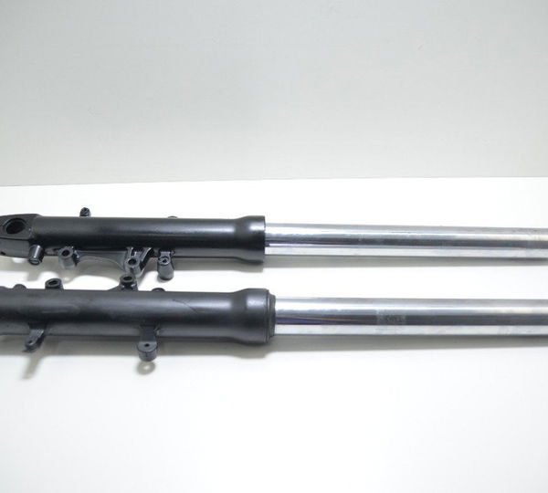 Par Bengalas Kawasaki Ninja 900 Zx 9r 1998