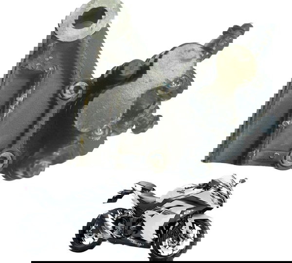 Pinça Freio Traseira Kawasaki Ninja 300 13-18 Original