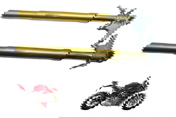 Par Bengalas Ducati Streetfighter V4 V4s 21-24 Original