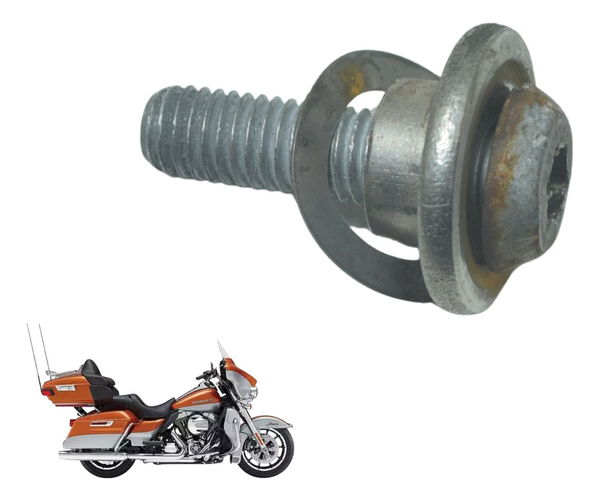 Parafuso Disco Freio Dian Harley Touring Electra Glide 14-17