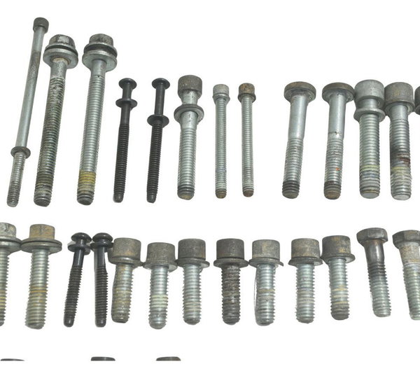 Kit Parafuso Diverso Harley Touring Electra Glide 14-17 Orig