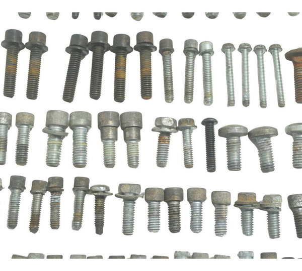 Kit Parafuso Diverso Harley Touring Electra Glide 14-17 Orig