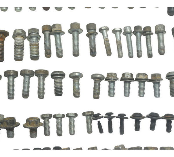 Kit Parafuso Diverso Harley Touring Electra Glide 14-17 Orig