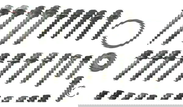 Kit Parafuso Motor Harley Touring Electra Glide 14-17 Orig