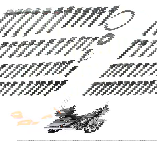 Kit Parafuso Motor Harley Touring Electra Glide 14-17 Orig