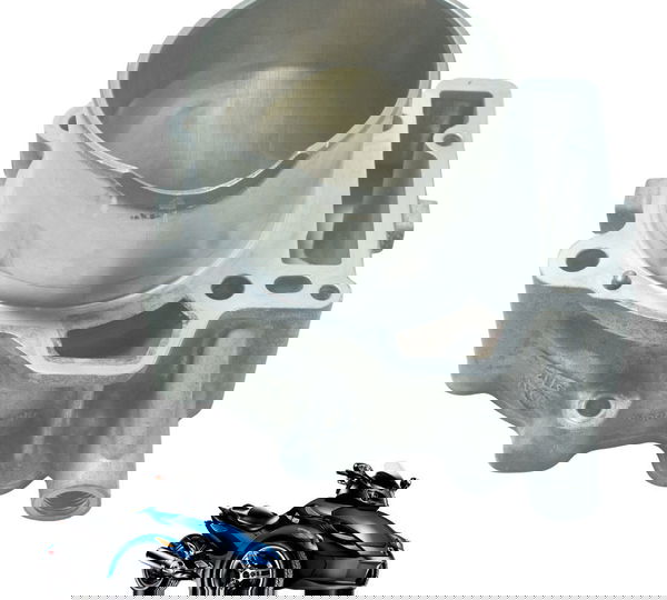 Cilindro Brp Can Am Spyder 990rs 08-09 Original