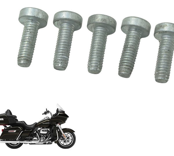 Jogo Parafuso Espada Harley Road Glide Touring 17-19 Orig